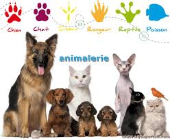 Animalerie/معدات الحيوانات